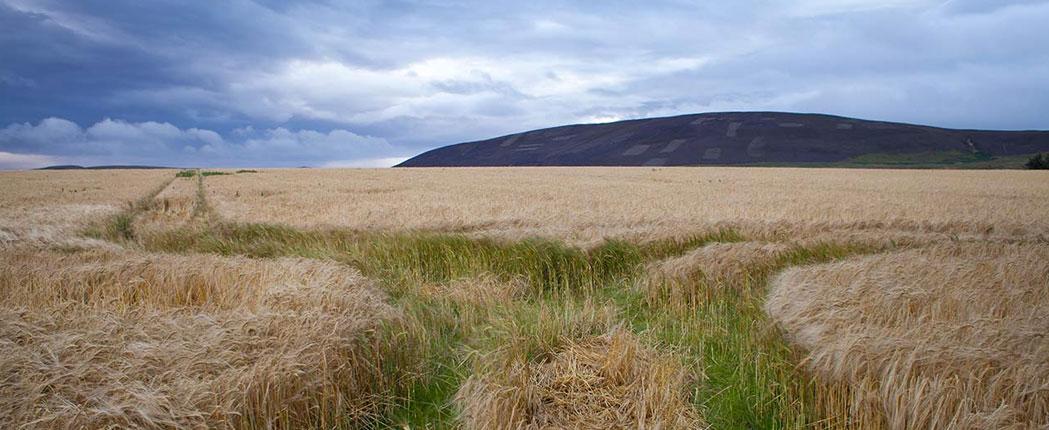 Divergent outlook for local and global markets